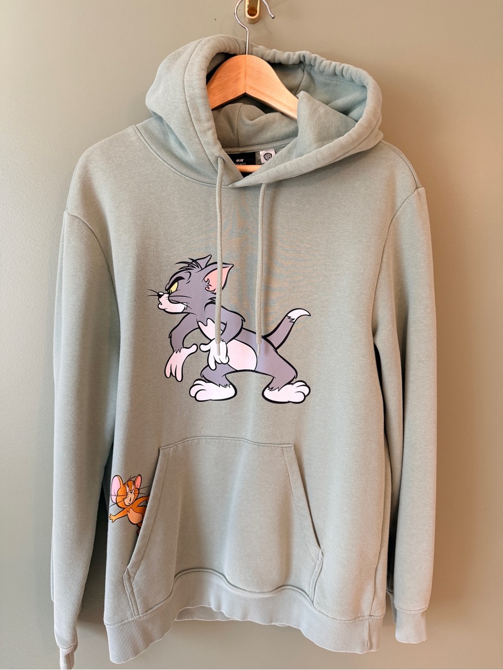 H&M WB Graphic Hoodie - Sage Green